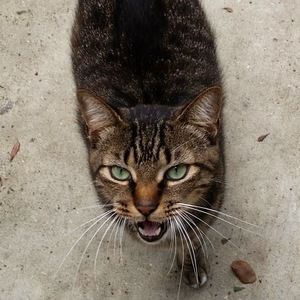 Meet your Posher, Mark